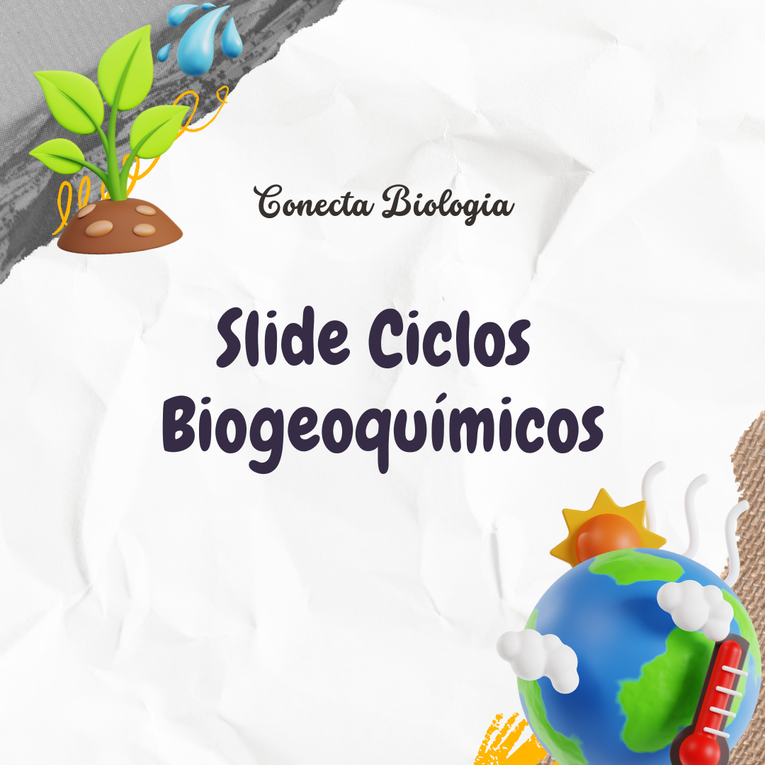 Slide – Ciclos Biogeoquímicos