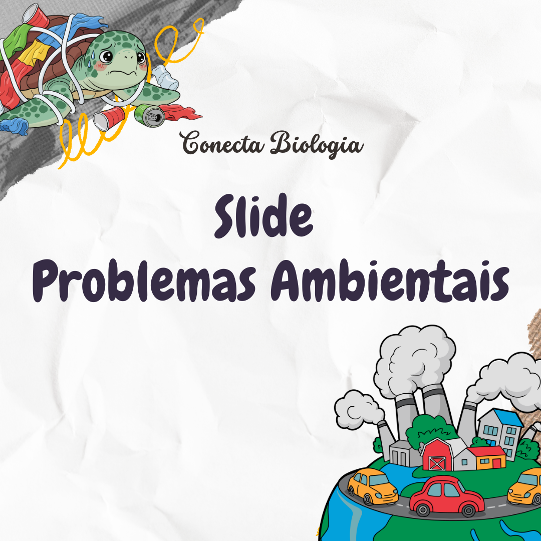 Slide - Problemas Ambientais