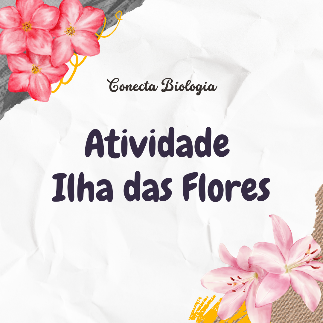 Roteiro Problemas Ambientais: Ilha das Flores