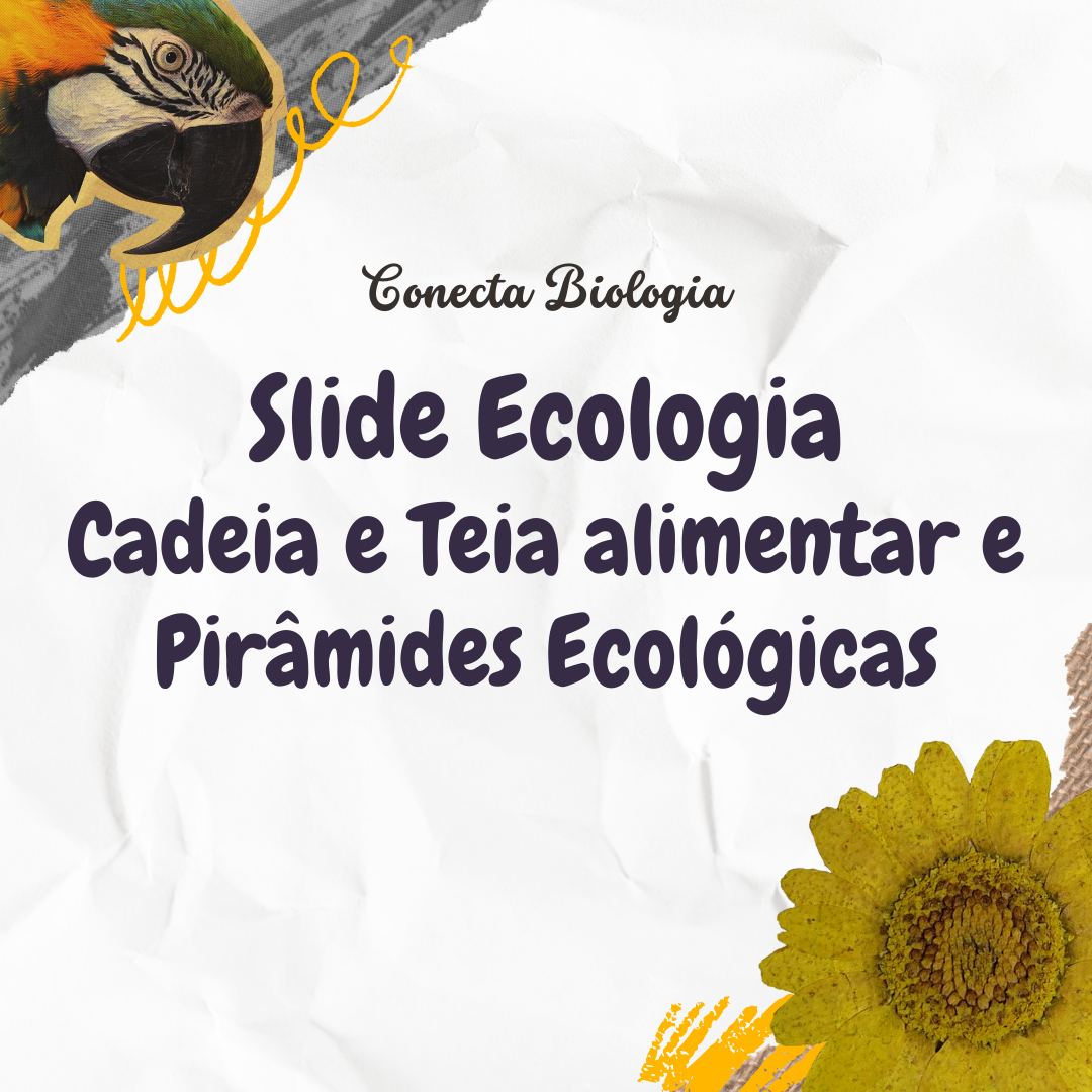 Slide - Ecologia: cadeia e teia alimentar e pirâmides ecológicas
