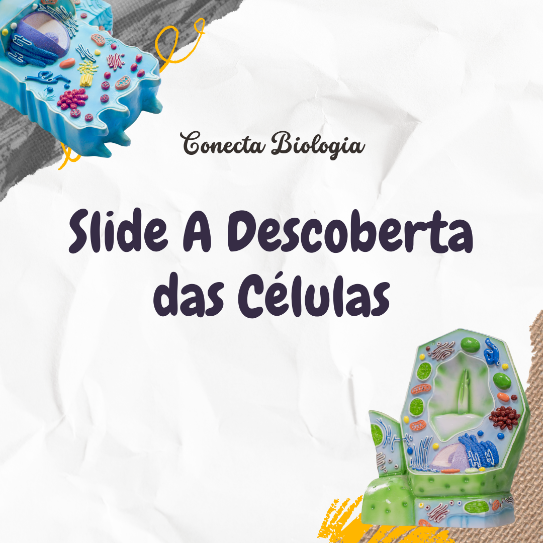 Slide - A Descoberta das Células